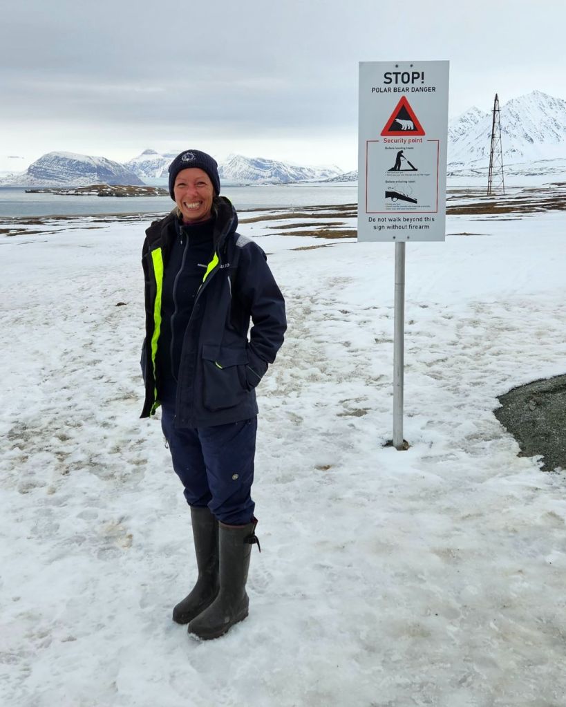 polar bear safety in svalbard